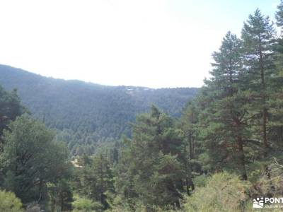 Pino de la Cadena (Valle de Siete Picos, Sierra de Guadarrama); singles en madrid la vall d aran tie